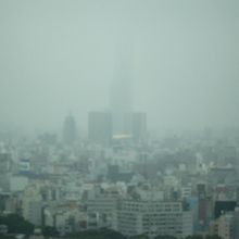 東京スカイツリーも？この日は曇りで、無理かな