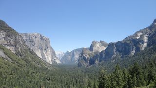 現地発ツアーに参加