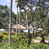 プールもみえて