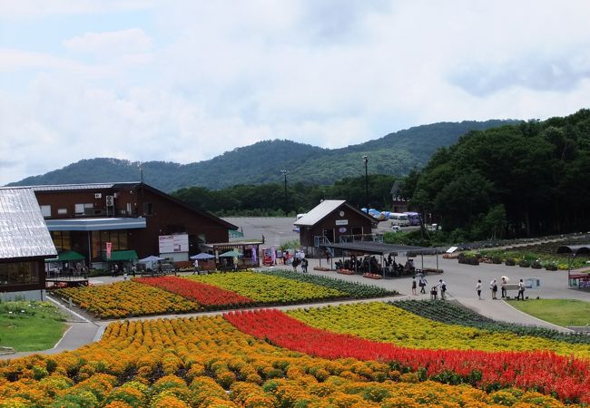 北海道みたい