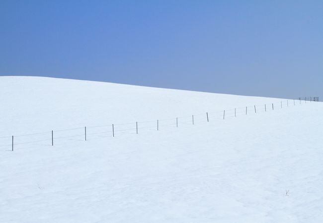 冬の牧場・・・白と青のエクスタシー！！
