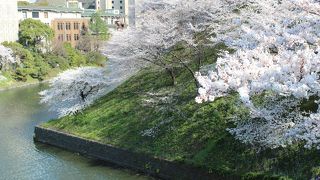 4月8日の桜