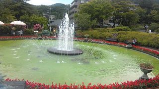 あじさいとバラの競演