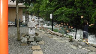 滝の上が見える