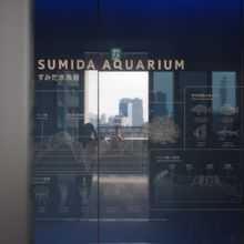 水族館入り口のガラスエントランス