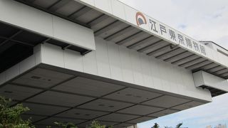 江戸と東京の文化に触れられる