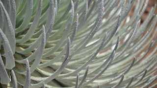 なんど登っても飽きることはないです