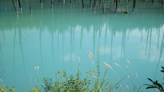 本当に青い。神秘的です。