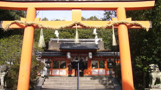 世界遺産と源氏ロマン