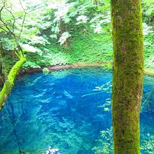 まさに神秘的！