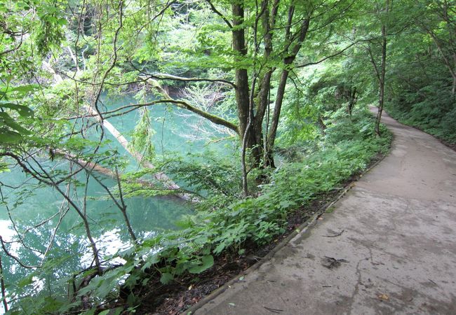 十二湖おすすめ散策コース