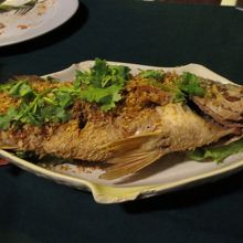 プラーガ　ポントート　グラティアム　でかい！