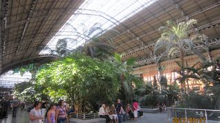 植物園のような駅