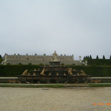 広さや大きさが伝えきれません。