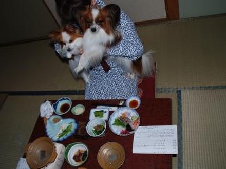 温海温泉　旬の宿　あらたまや 写真