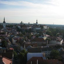 聖オレフ教会の展望台からのタリンの歴史地区。