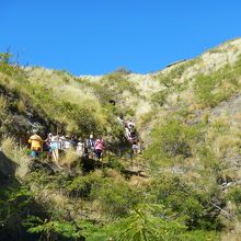 頑張れ、頑張れ