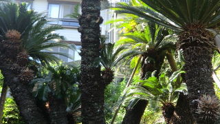 のどかな景色が広がる♪