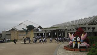 大水槽が迫力満点です