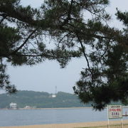 松林が一面に広がる香川県下屈指の海水浴場