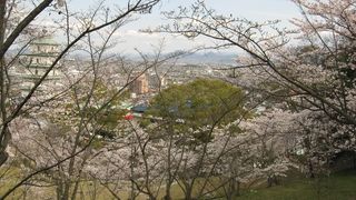 お花見シーズンには欠かせない公園