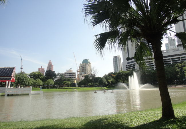 公園には池があります。涼しげです。