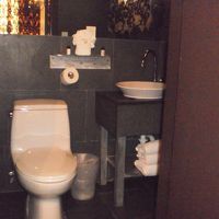 バスタブなし。なぜかシャワーカーテンもなかった…でも清潔