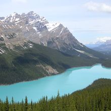ビューポイントからの眺め