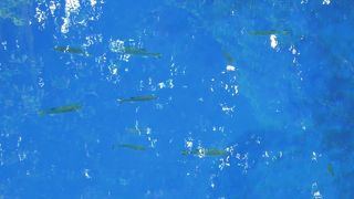 吸い込まれそうに真っ青な水