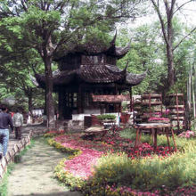 建物の周りは草花が一杯。