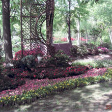 他の庭園と違いは優雅さ。