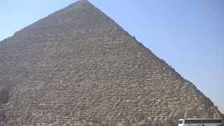 あまりの巨大さにびっくり