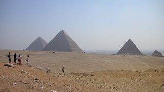 ラクダにはご注意