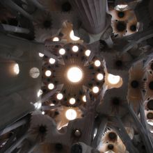 なんとなく風の谷のナウシカを思い出しました