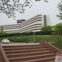 ホテルのすぐ下は散策路で花がたくさん咲いている