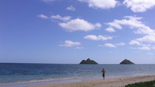 白い砂、そしてコバルトブルーの海