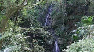 神聖でひそやか