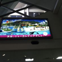 次はニューカレに行きたくじゃんかコノヤロー