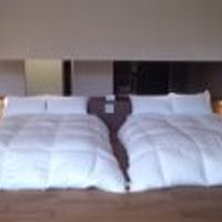 一段高くなっています