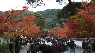 くまなく歩くとずいぶん時間がかかります