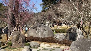 大型バスが何台も乗りつけて、大変な賑わいでした