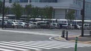 カメリアじゃないけど‥