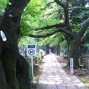 徳川慶喜公の墓所があります