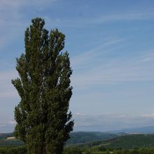 人の写っていない写真で見ると素敵