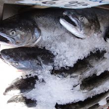 立派なサーモン