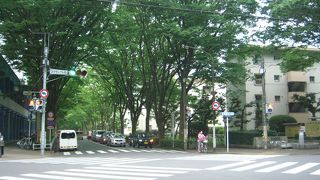 南口を降りると、さくらの木が立っている通りがあります