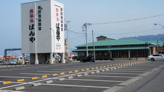 早朝の定置網でとれた新鮮な魚を堪能してください！