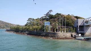 真珠の全てがわかります