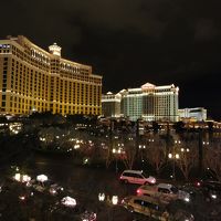 夜見るとさらに幻想的