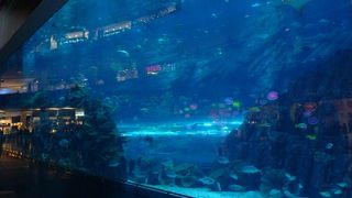 とにかく広いドバイモール！